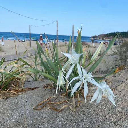 Lilia Apartments Voyage, Kavatsi Apartman Szozopol